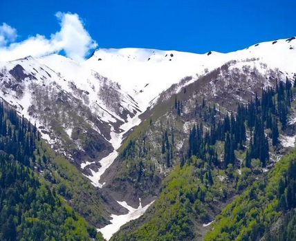 Sonmarg